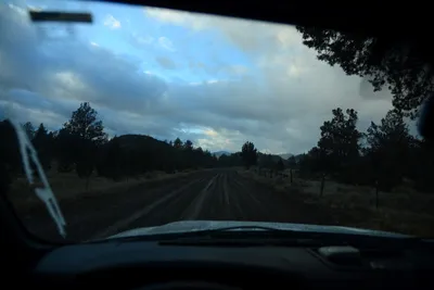 DSC_2951 (Large).JPG